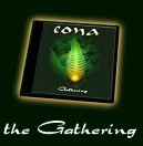 Order: The Gathering